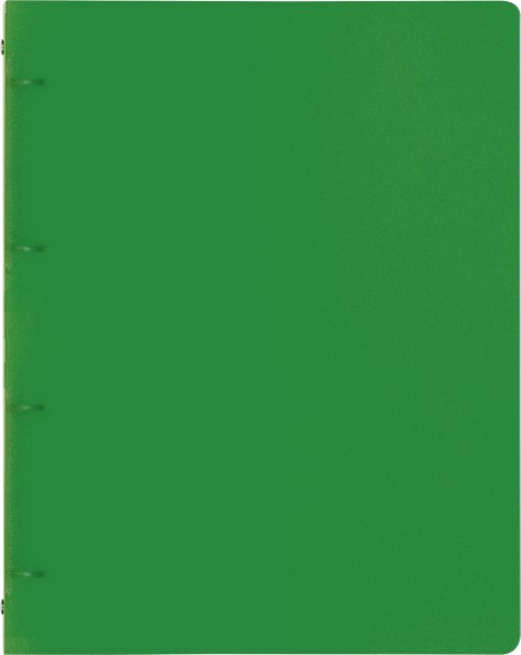 Brunnen Ringbuch A4 FACT! 16mm 4Rg grün