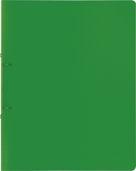 Brunnen Ringbuch A4 FACT! 25mm 2Rg grün