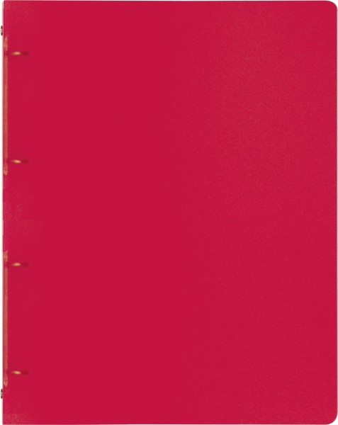 Brunnen Ringbuch A4 FACT! 16mm 4Rg red